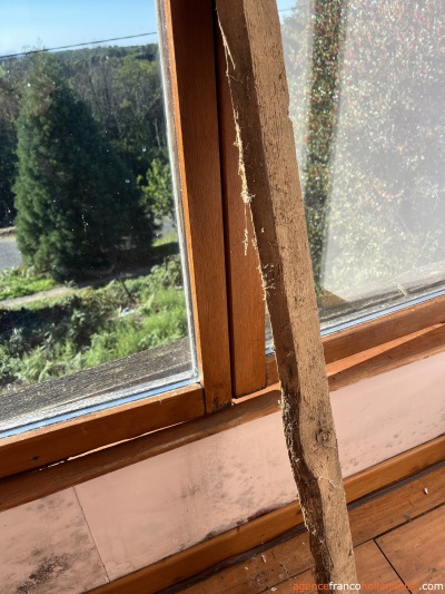 Bien cachée avec une jolie vue ! 