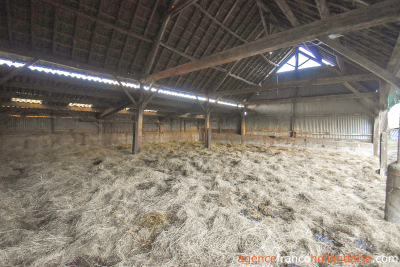 Belle maison en pierres de pays et 6 000m²