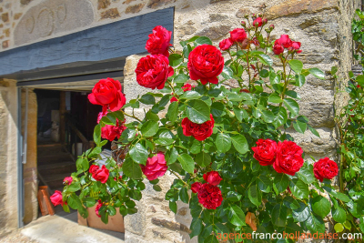 Grange rénovée sur la colline