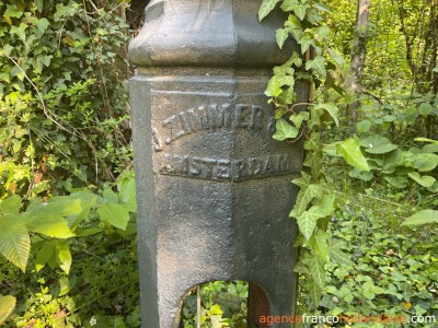 Au coeur de la forêt