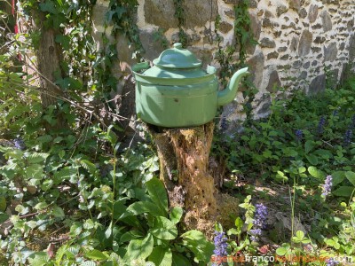 Au coeur de la forêt