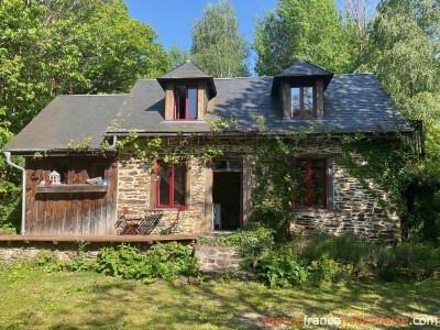 Au coeur de la forêt