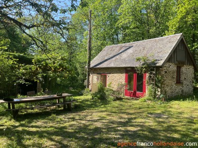 Au coeur de la forêt