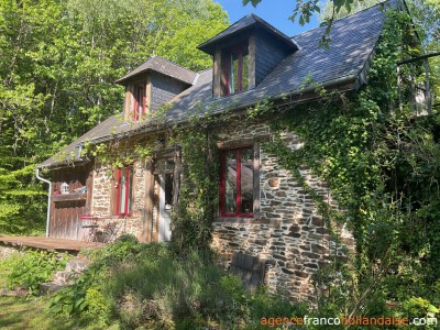 Au coeur de la forêt