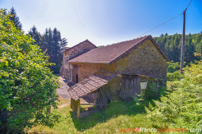 Sans aucun voisin avec ancien moulin et 7,5 hectares