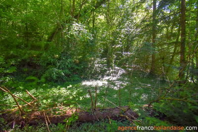 Sans aucun voisin avec ancien moulin et 7,5 hectares