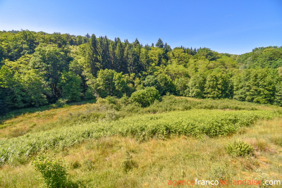 Sans aucun voisin avec ancien moulin et 7,5 hectares