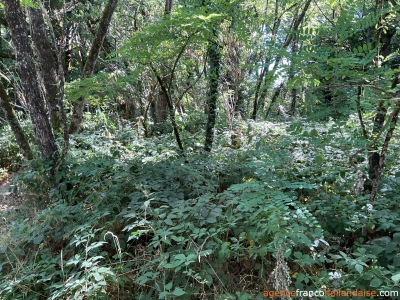 Maison de campagne rénovée isolée