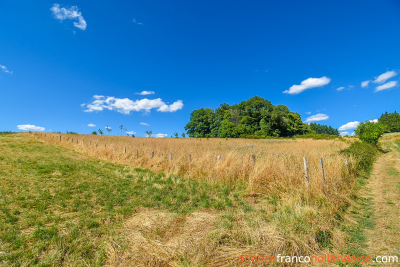 Beau projet à la campagne