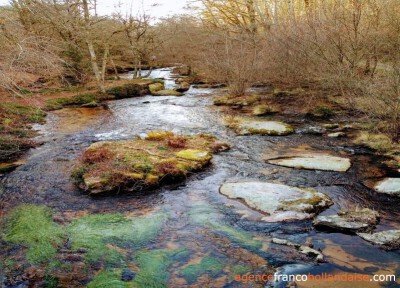 Ensemble de 14,8 hectares